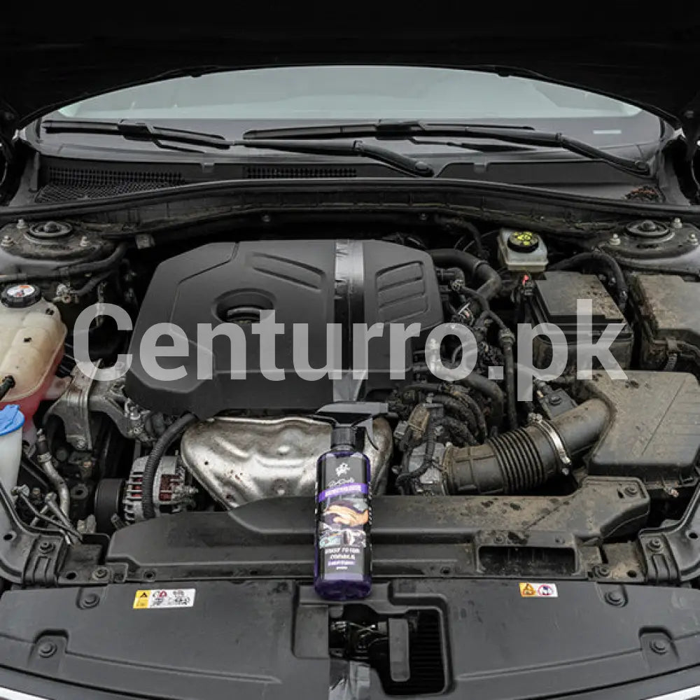 Engine Degreaser – Pro Strength 500ml Exterior