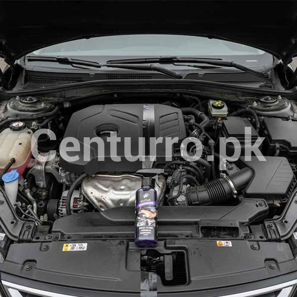 Engine Degreaser – Pro Strength 500ml Exterior
